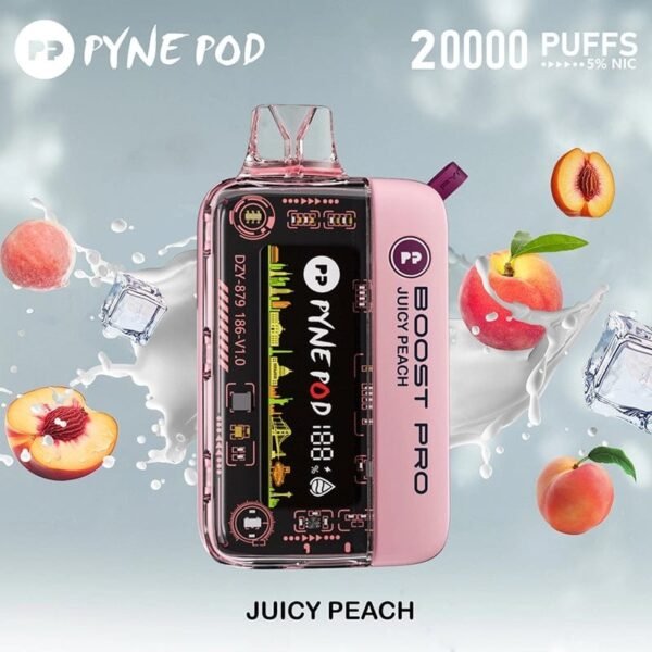 (10-PACK) Pyne Pod Boost Pro Disposable Vape - Image 8